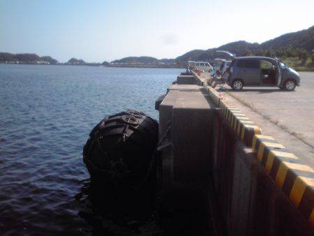 小サバ27匹、小アジ２２センチ